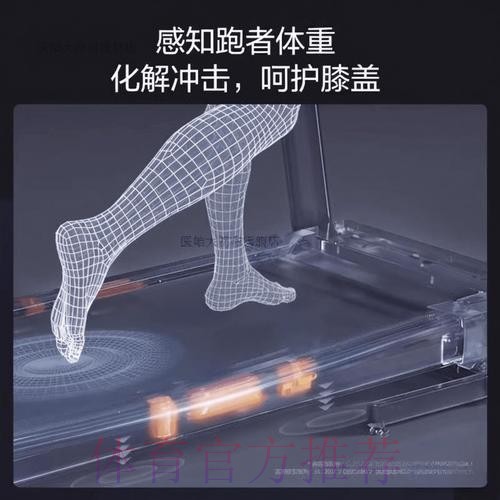 确保世界杯滚球全过程的安全体验